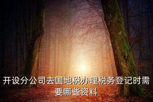 分公司地稅辦理需要什么材料，辦理分公司的稅務(wù)登記證需要準(zhǔn)備哪些資料