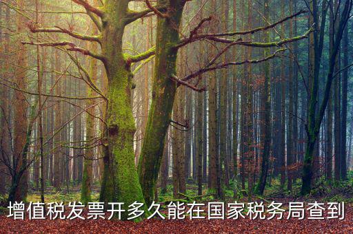 稅局什么時候查發(fā)票，增值稅發(fā)票開多久能在國家稅務局查到
