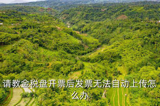 為什么增值發(fā)票上傳不上去，發(fā)票上傳不了怎么辦