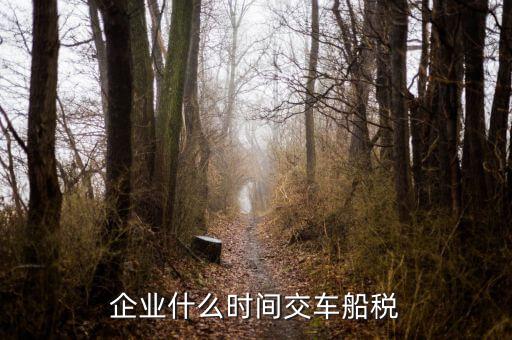 什么時(shí)候申報(bào)車(chē)船稅，車(chē)船稅應(yīng)當(dāng)在什么時(shí)候申報(bào)繳納 承德