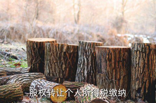 股權轉讓如何繳納個稅，個人股權轉讓如何納稅