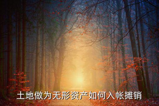 土地如何攤銷(xiāo)，土地做為無(wú)形資產(chǎn)如何入帳攤銷(xiāo)