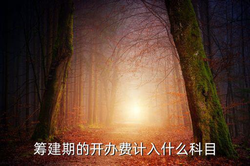 公司籌建期的費(fèi)用計(jì)入什么科目，籌建期的開辦費(fèi)計(jì)入什么科目