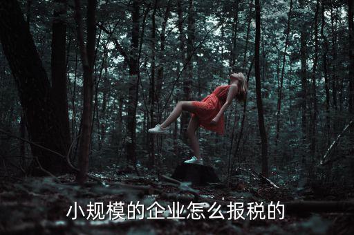 小規(guī)模納稅人如何申報(bào)，小規(guī)模增值稅申報(bào)流程