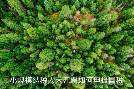 不征稅發(fā)票 如何申報(bào)，零星的銷售對(duì)方不要發(fā)票怎么報(bào)稅