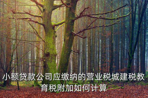 小額貸款公司如何繳稅，小額貸款公司的營業(yè)稅怎么算 sitewenwensosocom