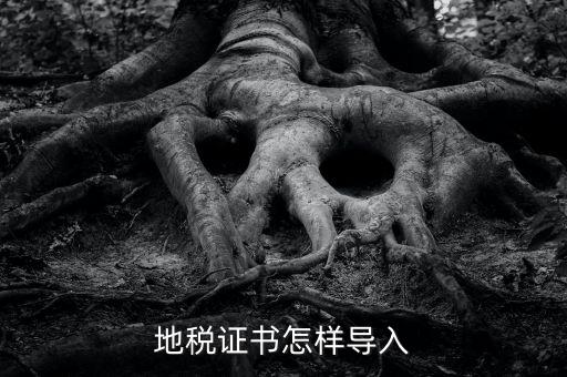 如何導(dǎo)入地稅證書，地稅證書怎樣導(dǎo)入