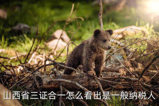 山西省如何查詢納稅人，為什么山西國稅發(fā)票無法查詢真?zhèn)?/></a></span><span id=