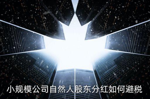 個人股東分紅如何避稅，小規(guī)模公司自然人股東分紅如何避稅