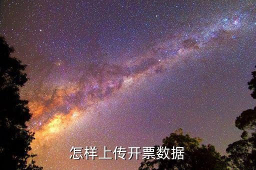 如何上傳進(jìn)項(xiàng)發(fā)票明細(xì)，怎樣上傳開票數(shù)據(jù)