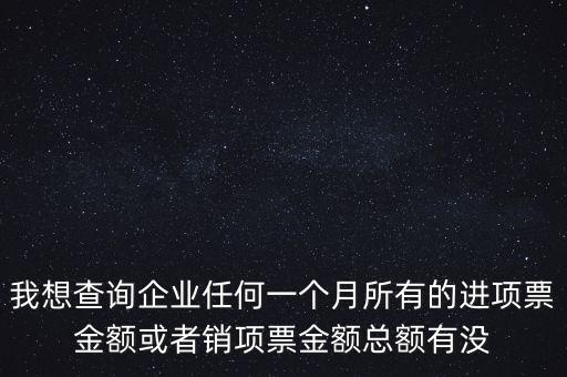 我想查詢企業(yè)任何一個(gè)月所有的進(jìn)項(xiàng)票金額或者銷項(xiàng)票金額總額有沒(méi)
