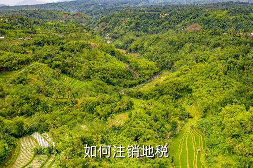 如何注銷地稅，如何注銷地稅