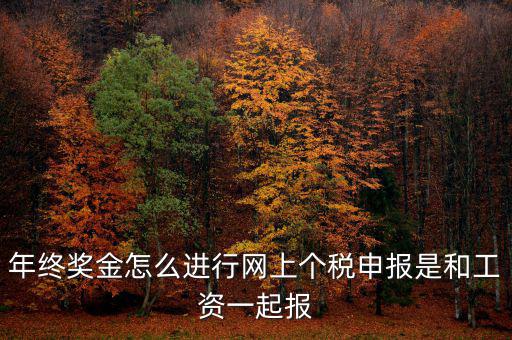 年終獎(jiǎng)個(gè)稅如何申報(bào)，年終獎(jiǎng)怎樣申報(bào)個(gè)稅