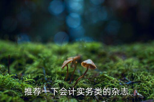 納稅這個(gè)期刊如何，推薦一下會(huì)計(jì)實(shí)務(wù)類的雜志