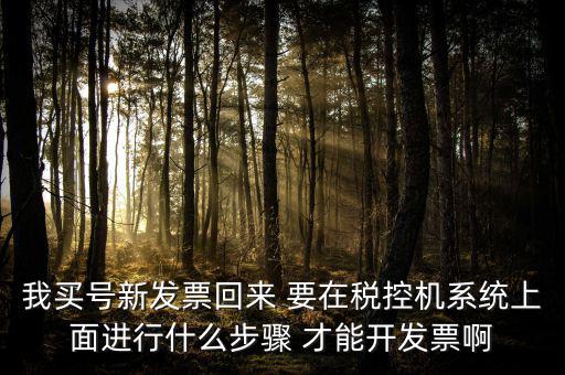 稅控系統(tǒng)如何開票，我買號新發(fā)票回來 要在稅控機(jī)系統(tǒng)上面進(jìn)行什么步驟 才能開發(fā)票啊