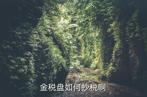 金稅盤(pán)如何抄報(bào)稅，金稅盤(pán)如何抄稅啊