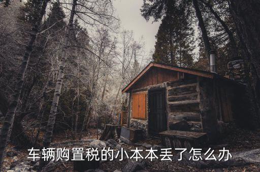 購(gòu)置稅本丟失如何補(bǔ)辦，車輛購(gòu)置稅完稅證明本丟了怎么補(bǔ)辦