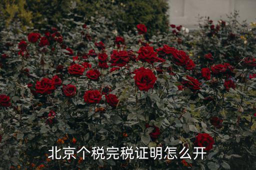 北京如何打印個人所得稅完稅證明，北京個稅完稅證明怎么開