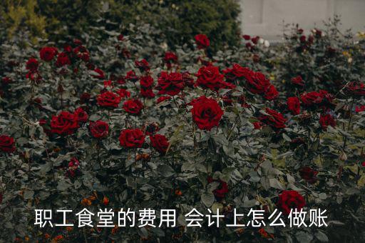 公司食堂費(fèi)用如何入賬，職工食堂費(fèi)用如何入賬