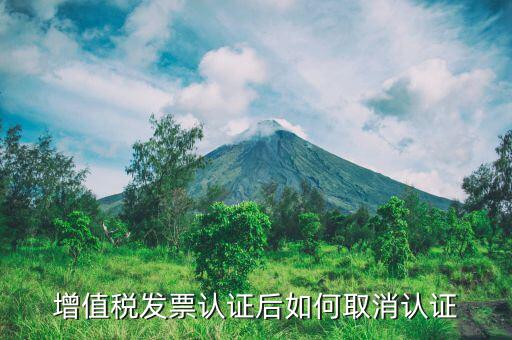 發(fā)票認(rèn)證后如何取消嗎，網(wǎng)上增值稅認(rèn)證已通過 能取消嗎