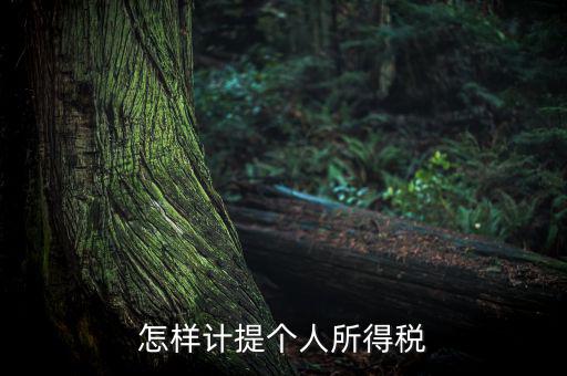 個(gè)人所得稅如何計(jì)提，如何計(jì)提個(gè)人所得稅