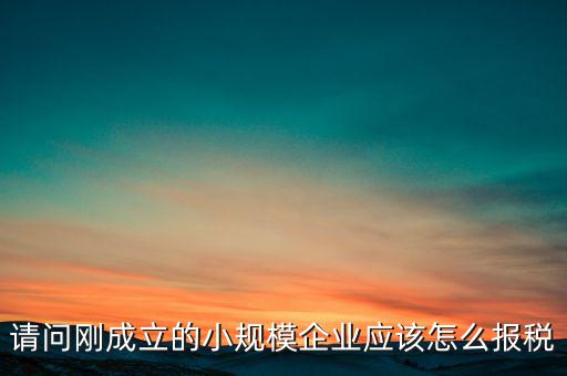 請(qǐng)問(wèn)剛成立的小規(guī)模企業(yè)應(yīng)該怎么報(bào)稅