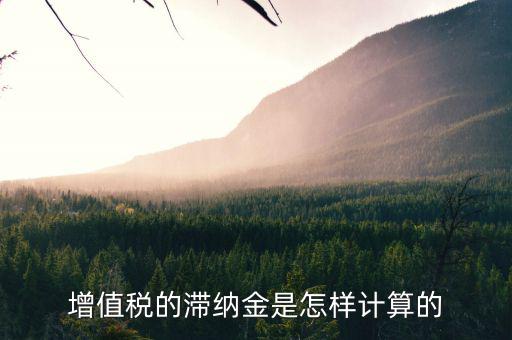 如何計(jì)算稅款的滯納金，稅款滯納金怎么算