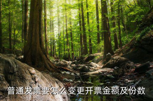 如何申請(qǐng)發(fā)票額度變更，普通發(fā)票要怎么變更開票金額及份數(shù)