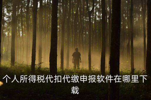 代扣代繳國稅如何申報(bào)系統(tǒng)下載，國稅增值稅小規(guī)模稅務(wù)電子申報(bào)軟件在哪里下載呢