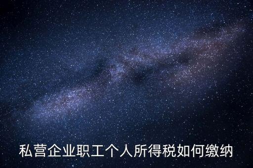 公司如何交個人所得稅，公司給員工發(fā)工資應(yīng)該怎么繳納個稅啊比如