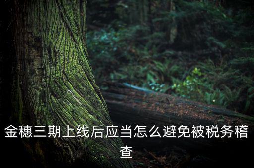 金稅三期如何防稽查，那如何預防稅局的稽查呢