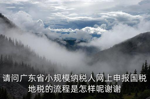 請(qǐng)問廣東省小規(guī)模納稅人網(wǎng)上申報(bào)國稅地稅的流程是怎樣呢謝謝