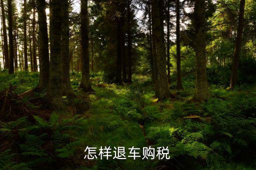 車輛購置稅如何退稅，怎么退車輛購置稅