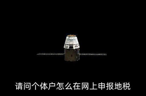 請(qǐng)問(wèn)個(gè)體戶(hù)怎么在網(wǎng)上申報(bào)地稅