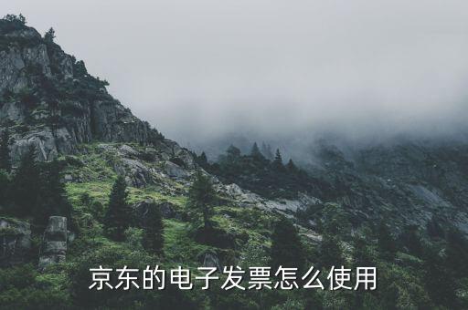 電子發(fā)票如何用，電子客票如何用