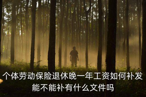 如何補(bǔ)發(fā)工資，個(gè)體勞動(dòng)保險(xiǎn)退休晚一年工資如何補(bǔ)發(fā)能不能補(bǔ)有什么文件嗎