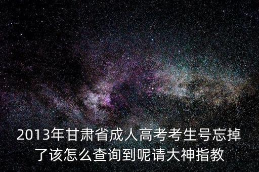 甘肅省如何查號，2013年甘肅省成人高考考生號忘掉了該怎么查詢到呢請大神指教