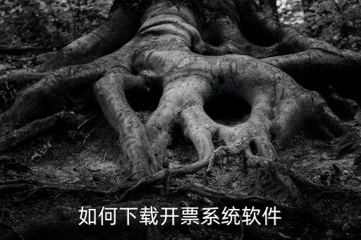 發(fā)票軟件如何下載軟件，怎么安裝稅控發(fā)票開票軟件v20