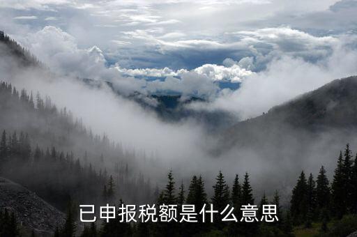 武漢稅務年報是什么意思，報告年度所得稅什么意思