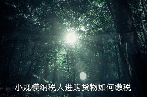 小規(guī)模納稅人如何交稅，小規(guī)模納稅人進(jìn)購貨物如何繳稅