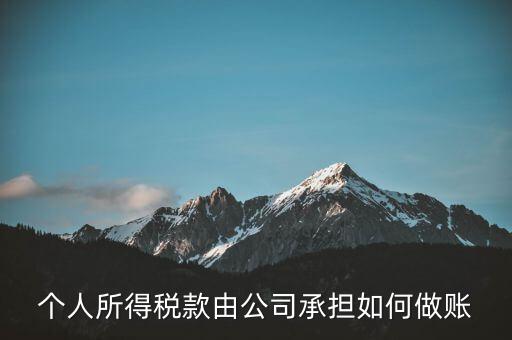 個稅公司承擔(dān) 如何報銷，個人所得稅款由公司承擔(dān)如何做賬