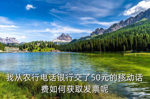 湖北移動(dòng)電子發(fā)票如何獲取，中國(guó)移動(dòng)手機(jī)帳單電子發(fā)票怎么樣下載