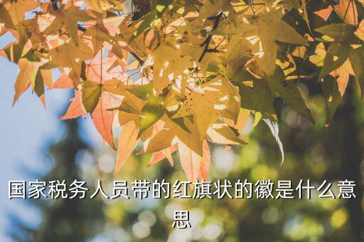 如何佩戴稅務(wù)肩章，地稅局人員的肩章