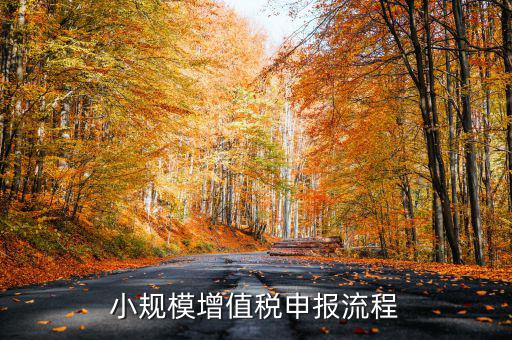 小規(guī)模納稅人 如何申報，小規(guī)模增值稅申報流程