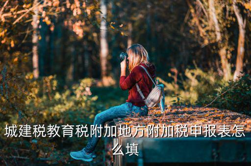 新城建稅附加表如何填，網上申報城建稅教育附加稅怎么填