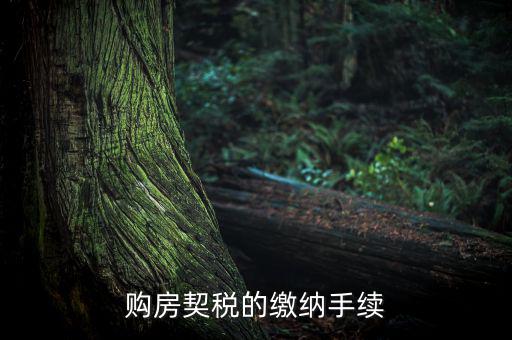 如何繳納契稅，購(gòu)房契稅的繳納手續(xù)