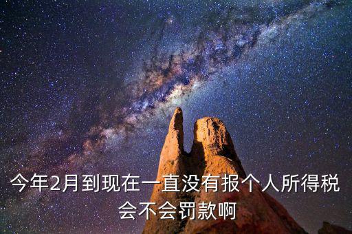 個(gè)稅申報(bào)不報(bào)會(huì)如何，個(gè)人所得稅自行申報(bào)不去做有什么危害