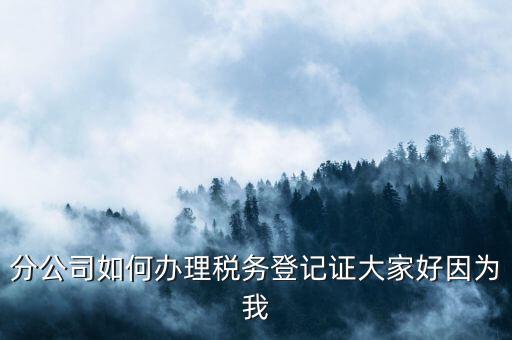 分公司如何辦理稅務(wù)登記，分公司如何辦理稅務(wù)登記證大家好因?yàn)槲?/></a></span><span id=