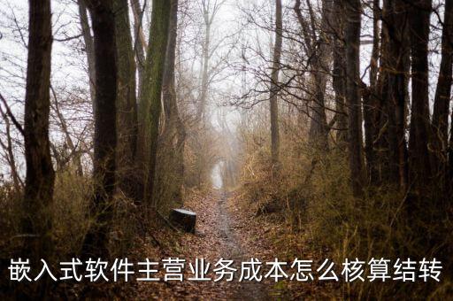 嵌入式軟件成本如何確定，嵌入式軟件主營業(yè)務(wù)成本怎么核算結(jié)轉(zhuǎn)