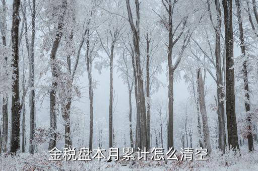 金稅盤(pán)如何清稅盤(pán)，金稅盤(pán)如何清卡解鎖